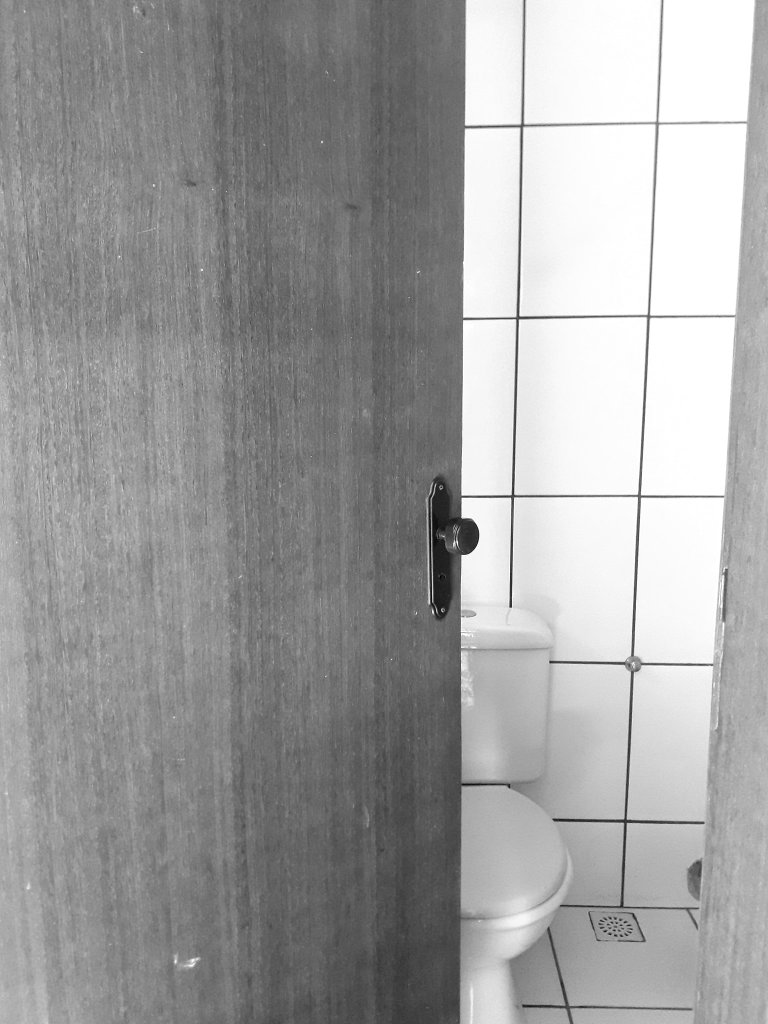 imagem da entrada de um banheiro, a porta está aberta pela metade, é possível enxergar parte da privada e dos detalhes do local.