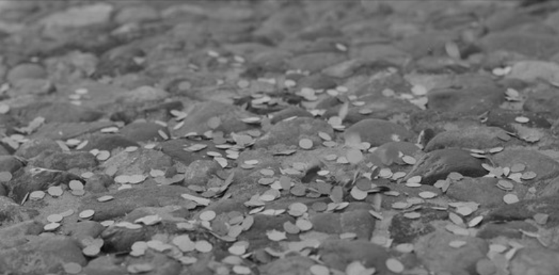 imagem em preto e branco de um chão cheio de confetes.