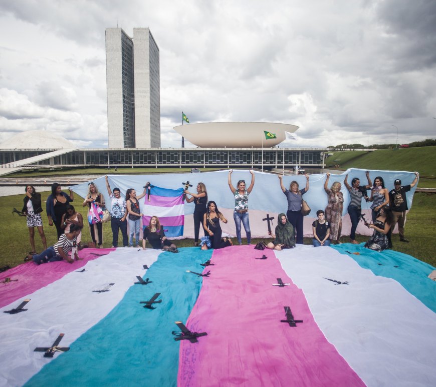 Um grupo de aproximadamente 15 a 20 pessoas, majoritariamente mulheres, posa em frente ao Congresso Nacional do Brasil sob um céu nublado. Elas seguram uma grande bandeira trans horizontalmente na altura do peito e dos braços estendidos, enquanto outra parte da bandeira se estende no chão à frente delas, com símbolos que parecem ser cruzes ou pássaros pretos sobre as faixas rosa, azul e branca. O prédio do Congresso, com suas duas torres e a cúpula do Senado, é visível ao fundo.
