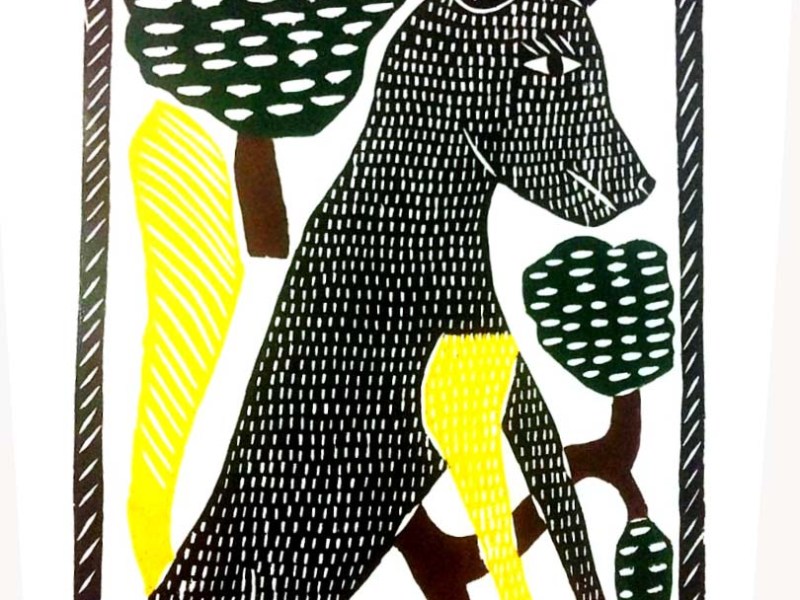 Quem pode falar de crime ambiental em Mariana?